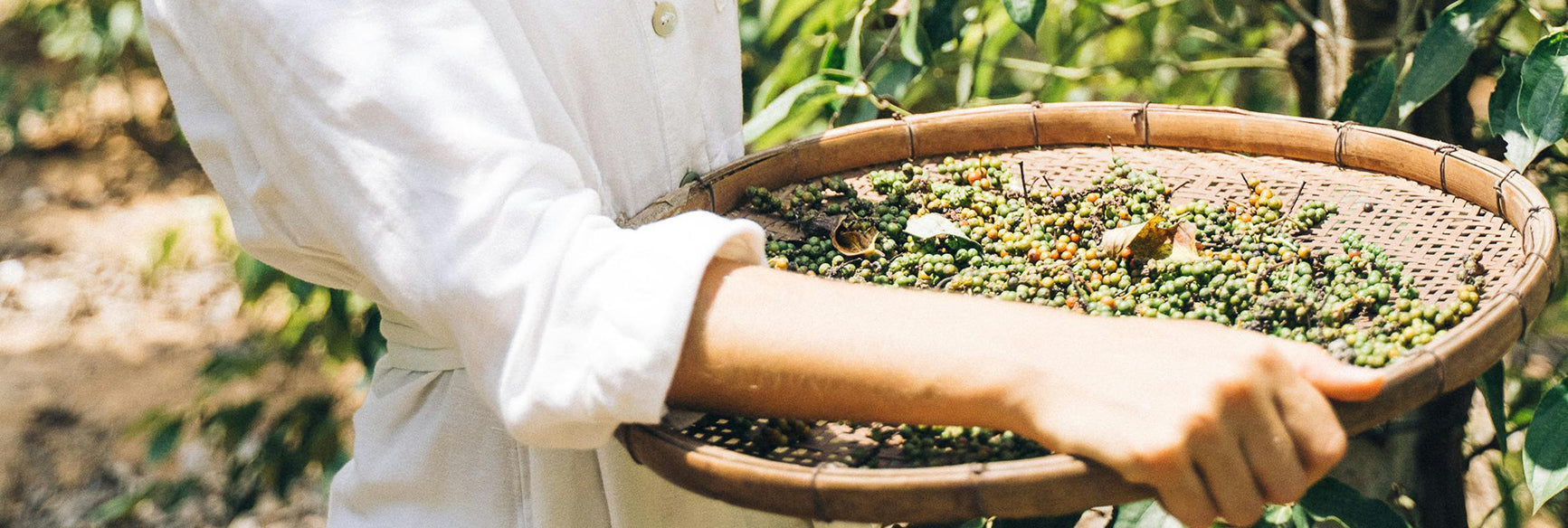 What You Need to Know About Tanzanian Coffee